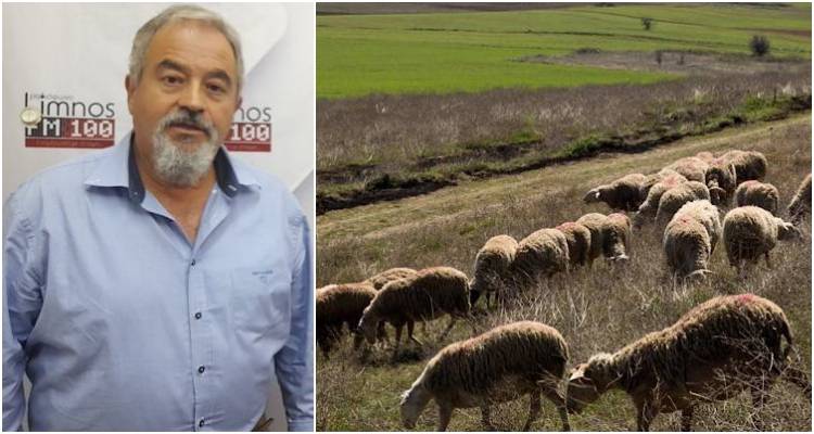 &Alpha;&delta;&alpha;&mu;ί&delta;&eta;&sigmaf;: &Epsilon;&upsilon;&theta;ύ&nu;&eta; &tau;&eta;&sigmaf; &Delta;/&nu;&sigma;&eta;&sigmaf; &Kappa;&tau;&eta;&nu;&iota;&alpha;&tau;&rho;&iota;&kappa;ή&sigmaf; &eta; &sigma;&omega;&sigma;&tau;ή &lambda;&epsilon;&iota;&tau;&omicron;&upsilon;&rho;&gamma;ί&alpha; &tau;&omicron;&upsilon; &Tau;&mu;ή&mu;&alpha;&tau;&omicron;&sigmaf; &sigma;&tau;&eta;&nu; &Lambda;ή&mu;&nu;&omicron;
