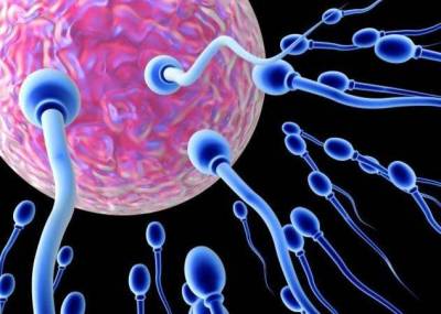 Τα πολλά γαλακτοκομικά βλάπτουν τη γονιμότητα των ανδρών