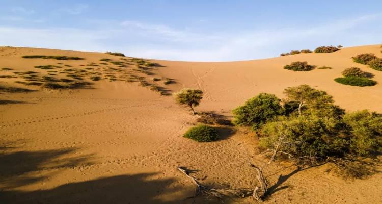 Για sand boarding στις Αμμοθίνες της Λήμνου | Η ελληνική Σαχάρα που μαγεύει τους επισκέπτες του νησιού