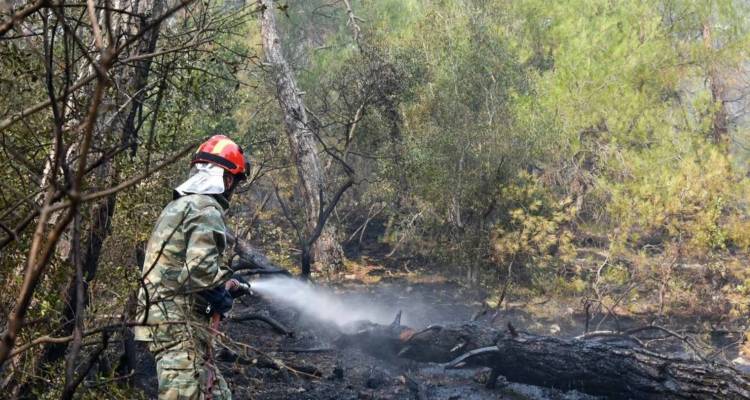 &Beta;&omicron;&upsilon;&lambda;ή: &laquo;Ό&chi;&iota;&raquo; &Sigma;&Upsilon;&Rho;&Iota;&Zeta;&Alpha; &sigma;&tau;&eta; &sigma;&upsilon;&nu;&delta;&rho;&omicron;&mu;ή &sigma;&tau;&rho;&alpha;&tau;&omicron;ύ &sigma;&epsilon; &phi;&upsilon;&sigma;&iota;&kappa;έ&sigmaf; &kappa;&alpha;&tau;&alpha;&sigma;&tau;&rho;&omicron;&phi;έ&sigmaf;, 6 &chi;&rho;ό&nu;&iota;&alpha; &mu;&epsilon;&tau;ά &tau;&omicron; &Mu;ά&tau;&iota; -&laquo;&Alpha;&pi;&rho;έ&pi;&epsilon;&iota;&alpha; &kappa;&alpha;&iota; &kappa;&alpha;&tau;ά&nu;&tau;&iota;&alpha;&raquo;