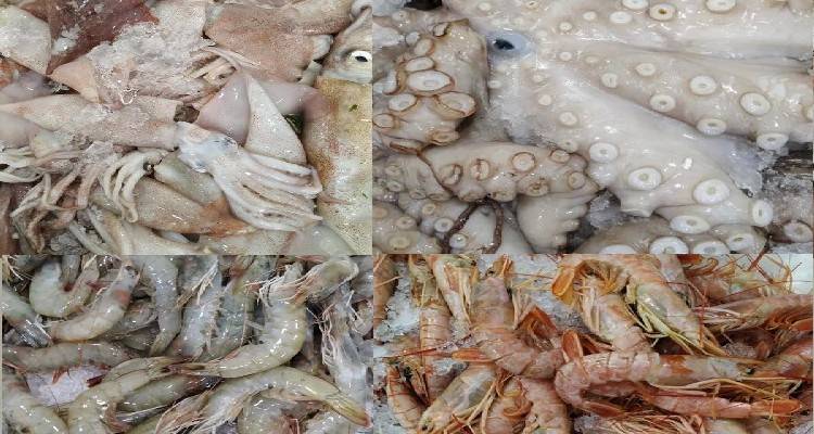 &Lambda;ή&mu;&nu;&omicron;&sigmaf;: &Kappa;&alpha;&theta;&alpha;&rho;ά &Delta;&epsilon;&upsilon;&tau;έ&rho;&alpha; &mu;&epsilon; &tau;&iota;&sigmaf; "Fish&alpha;&lambda;ί&delta;&epsilon;&sigmaf;"