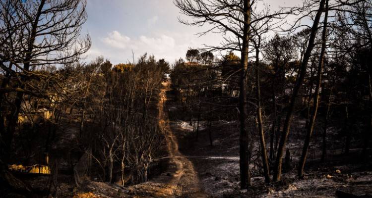 Μάτι: Τι κατέθεσαν Τόσκας, Γεροβασίλη, Σκουρλέτης για την τραγωδία και τα εναέρια μέσα | «Δεν ήξερα, δεν γνώριζα»