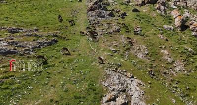 &Lambda;ή&mu;&nu;&omicron;&sigmaf;: &Tau;&alpha; &pi;&lambda;&alpha;&tau;ώ&nu;&iota;&alpha; &tau;&omicron;&upsilon; &Kappa;ά&sigma;&tau;&rho;&omicron;&upsilon; &tau;&eta;&sigmaf; &Mu;ύ&rho;&iota;&nu;&alpha;&sigmaf; &alpha;&pi;ό &psi;&eta;&lambda;ά! (Video)