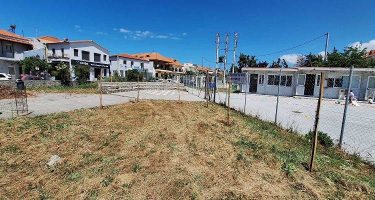 &Delta;ή&mu;&omicron;&sigmaf; &Lambda;ή&mu;&nu;&omicron;&upsilon;: 173 &nu;έ&alpha; &delta;έ&nu;&tau;&rho;&alpha; &laquo;&rho;&iota;&zeta;ώ&nu;&omicron;&upsilon;&nu;&raquo; &sigma;&epsilon; &omicron;&iota;&kappa;&iota;&sigma;&mu;&omicron;ύ&sigmaf; &tau;&omicron;&upsilon; &nu;&eta;&sigma;&iota;&omicron;ύ &mu;έ&sigma;&omega; &pi;&rho;&omega;&tau;&omicron;&beta;&omicron;&upsilon;&lambda;ί&alpha;&sigmaf; &tau;&omicron;&upsilon; &Omicron;&Eta;&Epsilon;