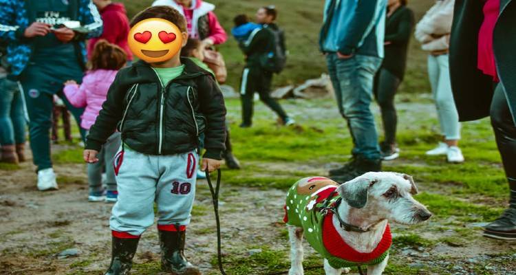 Νήπια και φοιτητές της Λήμνου χάρισαν αγάπη στα αδέσποτα του νησιού