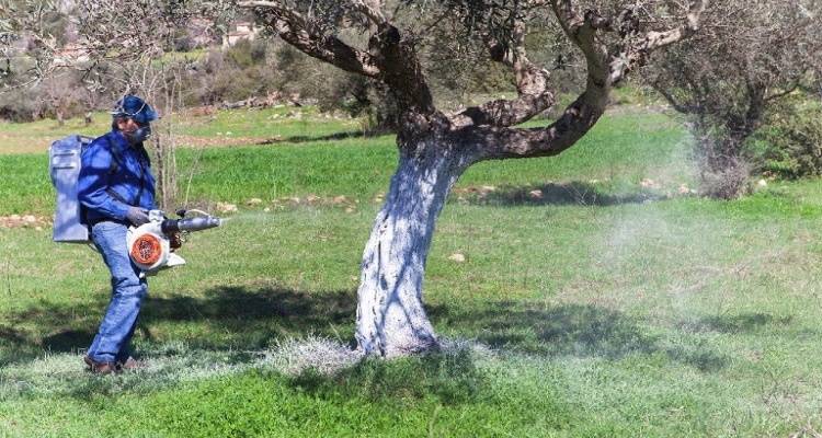 Λήμνος: Ξεκινά το πρόγραμμα δακοκτονίας