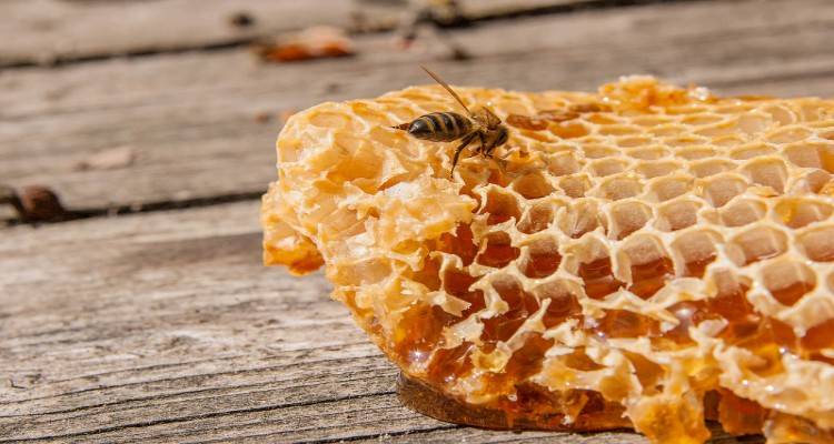 Λήμνος: Πάρε μέρος στη μελέτη δοκιμής μελιών