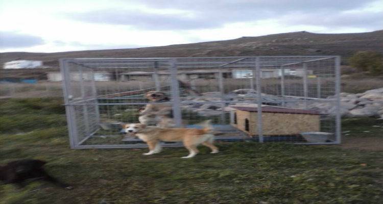 &Kappa;&alpha;&tau;&alpha;&psi;ή&phi;&iota;&sigma;&epsilon; &eta; &laquo;&Alpha;&nu;&tau;&alpha;&rho;&sigma;ί&alpha; &sigma;&tau;&omicron; &Alpha;&iota;&gamma;&alpha;ί&omicron;&raquo; &tau;&eta;&nu; &pi;&alpha;&rho;&alpha;&chi;ώ&rho;&eta;&sigma;&eta; &chi;ώ&rho;&omicron;&upsilon; &tau;&eta;&sigmaf; &Pi;&epsilon;&rho;&iota;&phi;έ&rho;&epsilon;&iota;&alpha;&sigmaf; &sigma;&tau;&omicron; &Phi;&iota;&lambda;&omicron;&zeta;&omega;&iota;&kappa;ό &Sigma;&omega;&mu;&alpha;&tau;&epsilon;ί&omicron; &Lambda;ή&mu;&nu;&omicron;&upsilon;