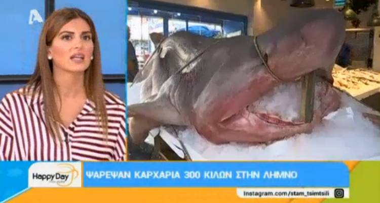 &Lambda;ή&mu;&nu;&omicron;&sigmaf;: &Psi;ά&rho;&epsilon;&psi;&alpha;&nu; &kappa;&alpha;&rho;&chi;&alpha;&rho;ί&alpha; 300 &kappa;&iota;&lambda;ώ&nu;! (video)