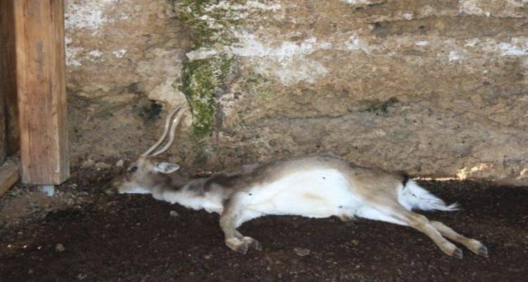 Φωτογραφία αρχείου