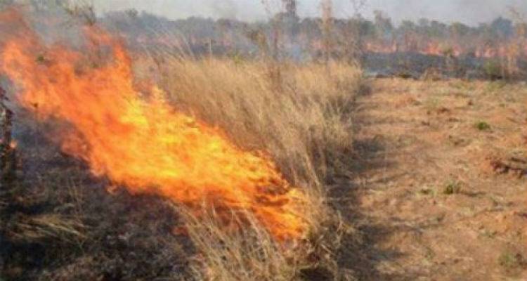 &Alpha;&pi;&alpha;&gamma;ό&rho;&epsilon;&upsilon;&sigma;&eta; &gamma;&iota;&alpha; &kappa;&alpha;ύ&sigma;&epsilon;&iota;&sigmaf; &sigma;&tau;&eta; &Lambda;ή&mu;&nu;&omicron; &lambda;ό&gamma;&omega; &pi;&alpha;&rho;&alpha;&tau;&epsilon;&tau;&alpha;&mu;έ&nu;&eta;&sigmaf; &alpha;&nu;&omicron;&mu;&beta;&rho;ί&alpha;&sigmaf;