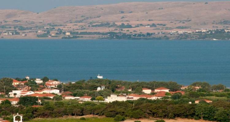 Δήμος Λήμνου:  Δημοπρασίας για την εκμίσθωση δύο ακινήτων στο Πεδινό