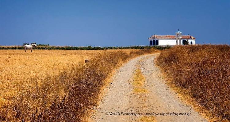 Λήμνος: Ο Άγιος Μοδέστος και τα κόλλυβα στα ζώα