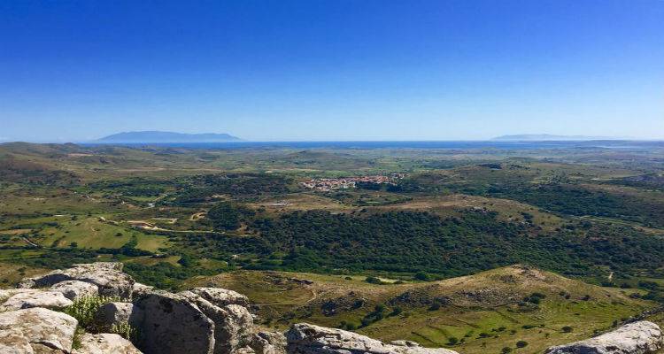 &Gamma;&epsilon;&nu;&iota;&kappa;ά &alpha;ί&theta;&rho;&iota;&omicron;&sigmaf; &kappa;&alpha;&iota;&rho;ό&sigmaf;