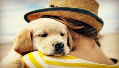 &Phi;&iota;&lambda;&omicron;&zeta;&omega;&iota;&kappa;ό &Sigma;&omega;&mu;&alpha;&tau;&epsilon;ί&omicron; &Lambda;ή&mu;&nu;&omicron;&upsilon;: &laquo;&Beta;ά&phi;&tau;&iota;&sigma;&epsilon; &kappa;&alpha;&iota; &sigma;&upsilon; έ&nu;&alpha; &chi;&alpha;&rho;&iota;&tau;&omega;&mu;έ&nu;&omicron; &tau;&epsilon;&tau;&rho;ά&pi;&omicron;&delta;&omicron;&raquo;