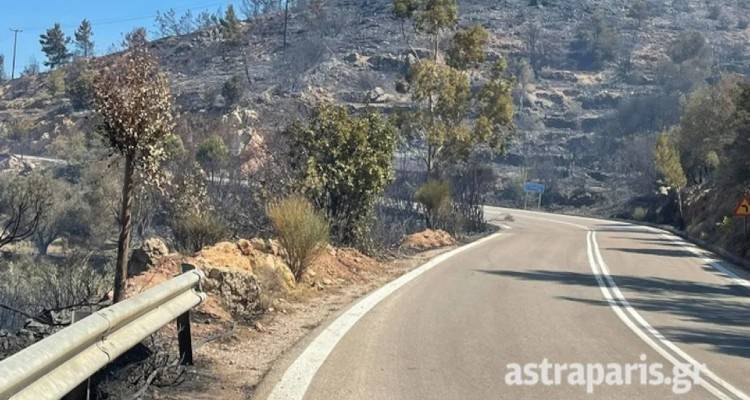 Χίος: Στις αυλές των σπιτιών η φωτιά, εκκενώνονται δύο χωριά