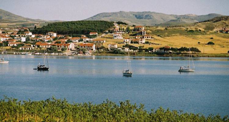 &Nu;. &Kappa;&omicron;ύ&tau;&alpha;&lambda;&eta;: &Alpha;&pi;ά&nu;&tau;&eta;&sigma;&eta; &Pi;&rho;&omicron;&beta;&alpha;&tau;ί&delta;&eta; &sigma;&epsilon; &sigma;&chi;ό&lambda;&iota;&omicron; &Pi;&alpha;&lambda;&alpha;&tau;&iota;&alpha;&nu;&omicron;ύ &mu;&epsilon; &phi;ό&nu;&tau;&omicron; &tau;&omicron; &Kappa;&lambda;&eta;&rho;&omicron;&delta;ό&tau;&eta;&mu;&alpha; &Delta;&omega;&rho;&epsilon;ά&sigmaf; &Pi;&epsilon;&tau;&rho;ί&delta;&eta;