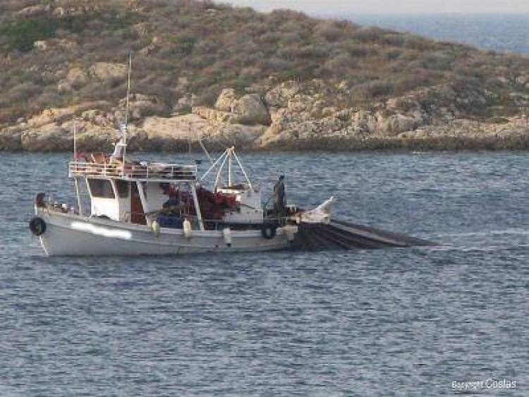 &Sigma;&epsilon; &kappa;&alpha;&tau;&alpha;&gamma;&rho;&alpha;&phi;ή &tau;&omega;&nu; &alpha;&lambda;&iota;&epsilon;&upsilon;&mu;ά&tau;&omega;&nu; &tau;&omicron;&upsilon;&sigmaf; &upsilon;&pi;&omicron;&chi;&rho;&epsilon;&omicron;ύ&nu;&tau;&alpha;&iota; &omicron;&iota; &alpha;&lambda;&iota;&epsilon;ί&sigmaf; &tau;&eta;&sigmaf; &Lambda;ή&mu;&nu;&omicron;&upsilon;