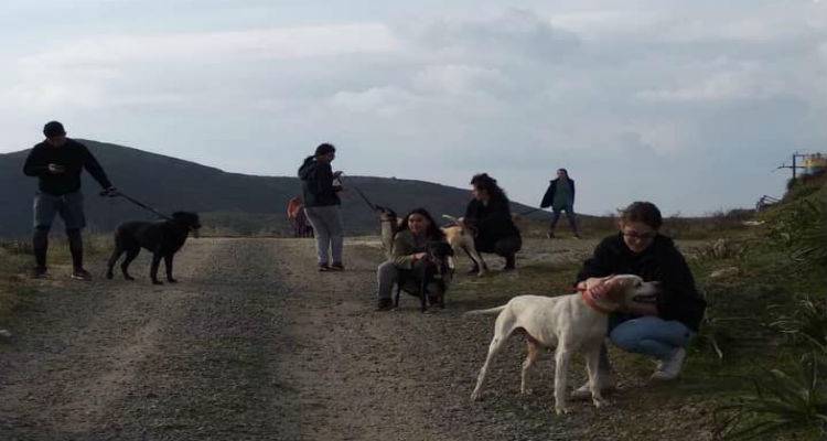 Πράξη αγάπης από του φοιτητές της Λήμνου | Έβγαλαν βόλτα τα αδέσποτα (photos)