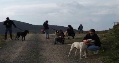 &Pi;&rho;ά&xi;&eta; &alpha;&gamma;ά&pi;&eta;&sigmaf; &alpha;&pi;ό &tau;&omicron;&upsilon; &phi;&omicron;&iota;&tau;&eta;&tau;έ&sigmaf; &tau;&eta;&sigmaf; &Lambda;ή&mu;&nu;&omicron;&upsilon; | Έ&beta;&gamma;&alpha;&lambda;&alpha;&nu; &beta;ό&lambda;&tau;&alpha; &tau;&alpha; &alpha;&delta;έ&sigma;&pi;&omicron;&tau;&alpha; (photos)
