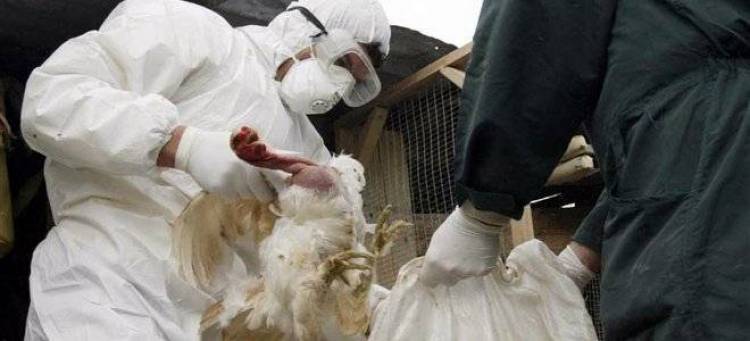 &Epsilon;&kappa;&tau;&alpha;&kappa;&tau;&alpha; &mu;έ&tau;&rho;&alpha; &sigma;&tau;&eta; &Sigma;&alpha;&nu;&gamma;&kappa;ά&eta; &gamma;&iota;&alpha; &tau;&eta;&nu; &alpha;&pi;&omicron;&phi;&upsilon;&gamma;ή &delta;&iota;ά&delta;&omicron;&sigma;&eta;&sigmaf; &tau;&eta;&sigmaf; &gamma;&rho;ί&pi;&eta;&sigmaf; &tau;&omega;&nu; &pi;&tau;&eta;&nu;ώ&nu;