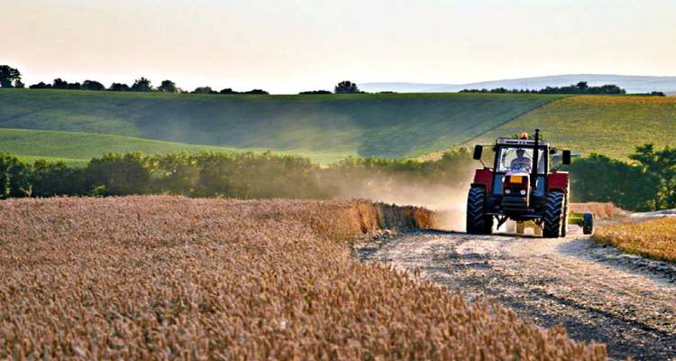 Στήριξη του αγροδιατροφικού τομέα ζητά η “Συμπαράταξη Πολιτών Βορείου Αιγαίου”