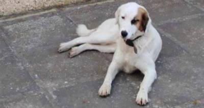 &Phi;&iota;&lambda;&omicron;&zeta;&omega;&iota;&kappa;ό&sigmaf; &Sigma;ύ&lambda;&lambda;&omicron;&gamma;&omicron;&sigmaf; &Lambda;ή&mu;&nu;&omicron;&upsilon;: &Tau;&iota; &pi;&rho;έ&pi;&epsilon;&iota; &nu;&alpha; &kappa;ά&nu;&omicron;&upsilon;&mu;&epsilon; ό&tau;&alpha;&nu; &epsilon;&nu;&tau;&omicron;&pi;ί&zeta;&omicron;&upsilon;&mu;&epsilon; έ&nu;&alpha; &alpha;&delta;έ&sigma;&pi;&omicron;&tau;&omicron;