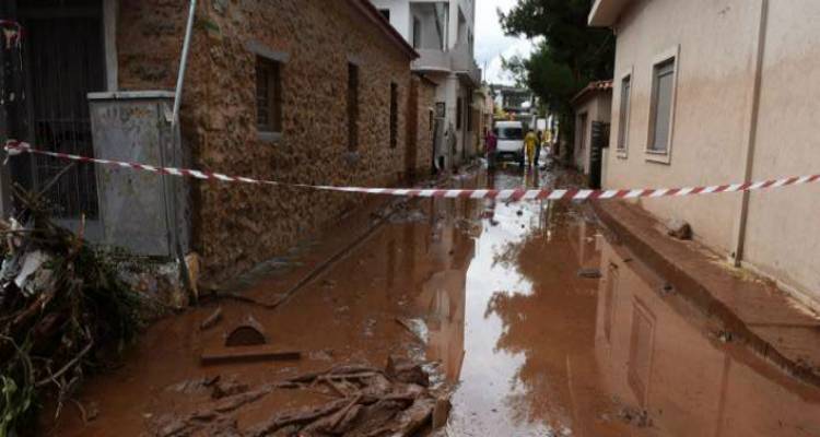 &Pi;ό&lambda;&eta; &laquo;&phi;ά&nu;&tau;&alpha;&sigma;&mu;&alpha;&raquo; &eta; &Mu;ά&nu;&delta;&rho;&alpha; | &Zeta;&omega;έ&sigmaf; &kappa;&alpha;&iota; &pi;&epsilon;&rho;&iota;&omicron;&upsilon;&sigma;ί&epsilon;&sigmaf; &chi;ά&theta;&eta;&kappa;&alpha;&nu; &sigma;&tau;&eta; &lambda;ά&sigma;&pi;&eta; (photos)