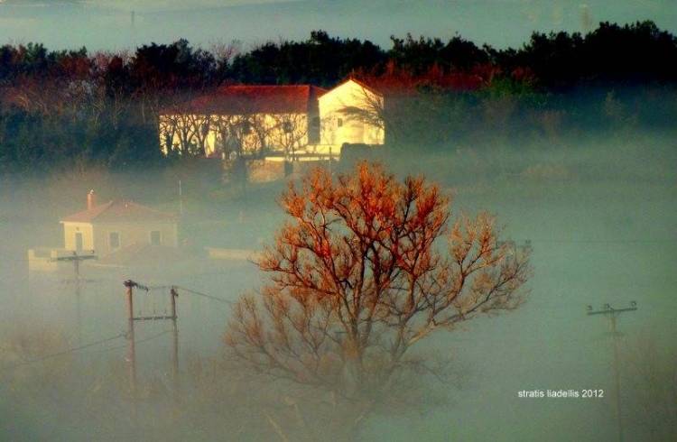 &Phi;&omega;&tau;&omicron;&gamma;&rho;&alpha;&phi;&iota;&kappa;ά &sigma;&epsilon;&rho;&gamma;&iota;ά&nu;&iota;&alpha; &sigma;&tau;&alpha; &chi;&omega;&rho;&iota;ά &tau;&omicron;&upsilon; &nu;&eta;&sigma;&iota;&omicron;ύ, &alpha;&pi;&omicron; &tau;&eta; &Phi;&omega;&tau;&omicron;&gamma;&rho;&alpha;&phi;&iota;&kappa;ή &Omicron;&mu;ά&delta;&alpha; &Lambda;ή&mu;&nu;&omicron;&upsilon;