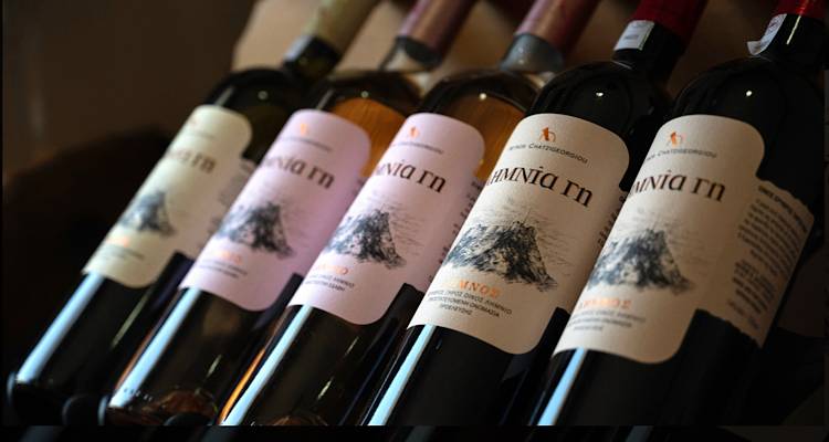 &Omicron;&iota; &Epsilon;&upsilon;&epsilon;&rho;&gamma;&epsilon;&tau;&iota;&kappa;έ&sigmaf; &iota;&kappa;&alpha;&nu;ό&tau;&eta;&tau;&epsilon;&sigmaf; &tau;&omicron;&upsilon; &kappa;&rho;&alpha;&sigma;&iota;&omicron;ύ &gamma;&iota;&alpha; &tau;&eta;&nu; &Upsilon;&gamma;&epsilon;ί&alpha;