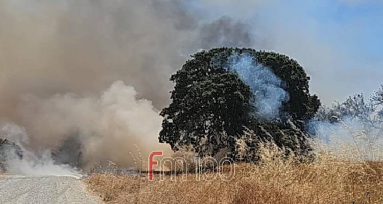 Μεγάλη φωτιά στο Κοντοπούλι | Σε πλήρη κινητοποίηση οι δυνάμεις της Λήμνου, σε ετοιμότητα δύο αεροσκάφη από Αλεξανδρούπολη