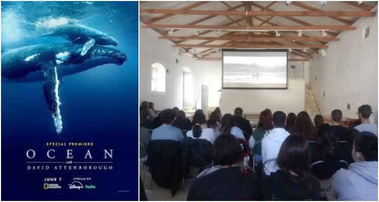 &Omicron;&iota; &mu;&alpha;&theta;&eta;&tau;έ&sigmaf; &tau;&omicron;&upsilon; &Gamma;&Epsilon;&Lambda; &Mu;&omicron;ύ&delta;&rho;&omicron;&upsilon; &laquo;&beta;&omicron;ύ&tau;&eta;&xi;&alpha;&nu;&raquo; &sigma;&tau;&omicron;&nu; &kappa;ό&sigma;&mu;&omicron; &tau;&omega;&nu; &omega;&kappa;&epsilon;&alpha;&nu;ώ&nu; &mu;&epsilon; &tau;&omicron;&nu; David Attenborough