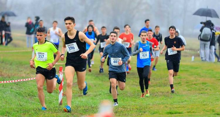 &Phi;&omega;&tau;&omicron;&gamma;&rho;&alpha;&phi;ί&alpha;: facebook/&Sigma;&tau;ί&beta;&omicron;&sigmaf; &Alpha;.&Epsilon;.&Lambda;&eta;&mu;&nu;&omicron;&upsilon;