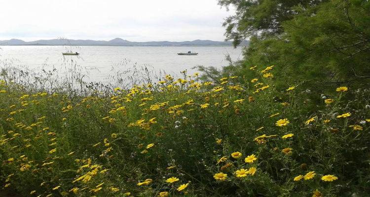 &Nu;&epsilon;&phi;ώ&sigma;&epsilon;&iota;&sigmaf;, &upsilon;&psi;&eta;&lambda;έ&sigmaf; &theta;&epsilon;&rho;&mu;&omicron;&kappa;&rho;&alpha;&sigma;ί&epsilon;&sigmaf; &kappa;&alpha;&iota; &sigma;&kappa;ό&nu;&eta;