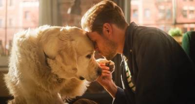 &Mu;&iota;&alpha; &gamma;&epsilon;&nu;&epsilon;&tau;&iota;&kappa;ή &mu;&epsilon;&lambda;έ&tau;&eta; &sigma;&epsilon; &gamma;&kappa;ό&lambda;&nu;&tau;&epsilon;&nu; &rho;&iota;&tau;&rho;ί&beta;&epsilon;&rho; &epsilon;&nu;&tau;&omicron;&pi;ί&zeta;&epsilon;&iota; &gamma;&omicron;&nu;ί&delta;&iota;&alpha; &pi;&omicron;&upsilon; &sigma;&upsilon;&nu;&delta;έ&omicron;&nu;&tau;&alpha;&iota; &mu;&epsilon; &tau;&alpha; &sigma;&upsilon;&nu;&alpha;&iota;&sigma;&theta;ή&mu;&alpha;&tau;&alpha; &kappa;&alpha;&iota; &sigma;&tau;&omicron;&upsilon;&sigmaf; &alpha;&nu;&theta;&rho;ώ&pi;&omicron;&upsilon;&sigmaf;