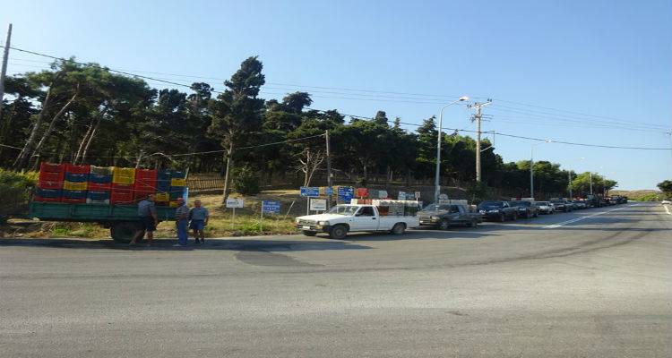 Επιπλέον ημέρα παραλαβής τσαμπανάρας ανακοίνωσε η «Ένωση» Λήμνου