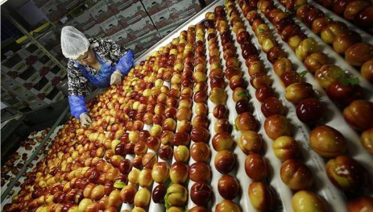 &Omicron;&Eta;&Epsilon;: &Pi;&epsilon;&tau;ά&mu;&epsilon; &phi;&alpha;&gamma;&eta;&tau;ό &alpha;&xi;ί&alpha;&sigmaf; 570 &delta;&iota;&sigma;&epsilon;&kappa;&alpha;&tau;&omicron;&mu;&mu;&upsilon;&rho;ί&omega;&nu; &epsilon;&upsilon;&rho;ώ &kappa;ά&theta;&epsilon; &chi;&rho;ό&nu;&omicron;