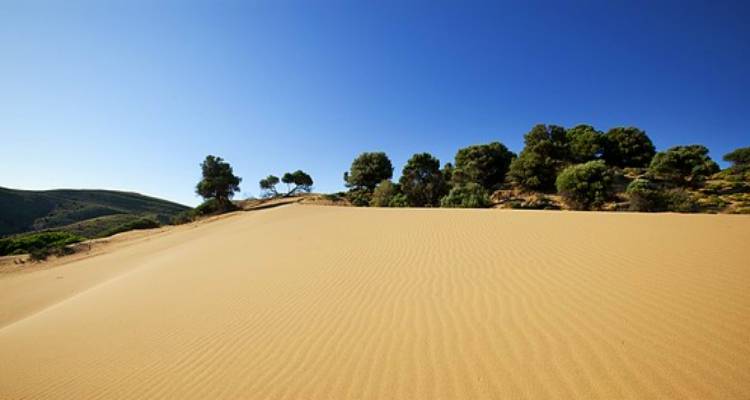 Πού βρίσκεται η μοναδική ελληνική έρημος; Στη Λήμνο φυσικά! (video)