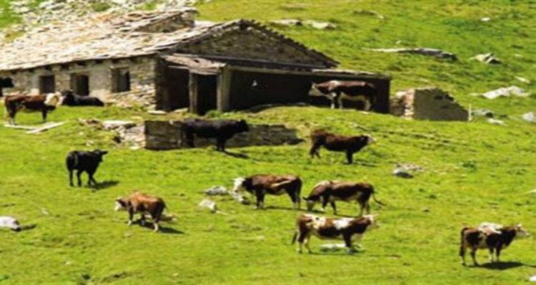 &Pi;&alpha;ύ&sigma;&eta; &mu;&epsilon;&tau;&alpha;&kappa;ί&nu;&eta;&sigma;&eta;&sigmaf; &beta;&omicron;&omicron;&epsilon;&iota;&delta;ώ&nu; | &Epsilon;&iota;&delta;&iota;&kappa;ό &kappa;&alpha;&theta;&epsilon;&sigma;&tau;ώ&sigmaf; &sigma;&tau;&eta; &Lambda;ή&mu;&nu;&omicron;