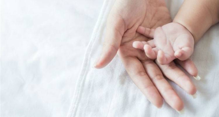 &Delta;&epsilon;&nu; έ&phi;&theta;&alpha;&sigma;&alpha;&nu; έ&gamma;&kappa;&alpha;&iota;&rho;&alpha; &gamma;&iota;&alpha; &tau;&eta; &delta;&iota;ά&sigma;&omega;&sigma;&eta; &nu;&epsilon;&omicron;&gamma;&nu;&omicron;ύ &mu;&epsilon;&tau;ά &alpha;&pi;ό &epsilon;&pi;&iota;&pi;&lambda;&omicron;&kappa;ή &sigma;&epsilon; &epsilon;&gamma;&kappa;&upsilon;&mu;&omicron;&sigma;ύ&nu;&eta;
