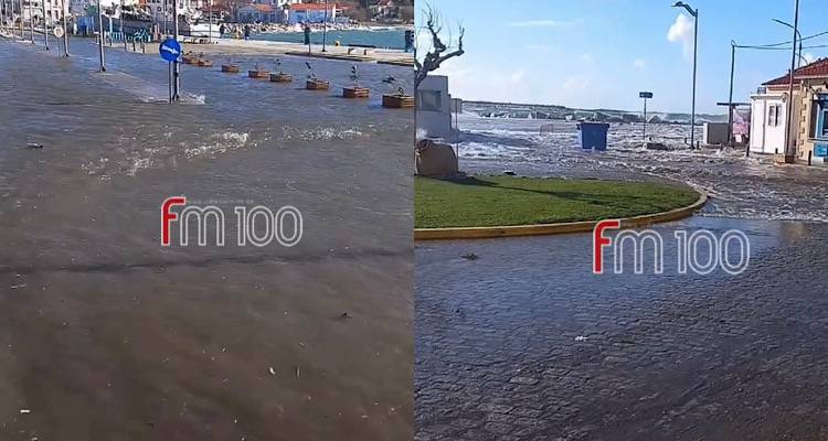 &Mu;ύ&rho;&iota;&nu;&alpha;: &Sigma;&tau;&omicron; έ&lambda;&epsilon;&omicron;&sigmaf; &tau;&omega;&nu; &nu;&omicron;&tau;&iota;ά&delta;&omega;&nu; &tau;&omicron; &lambda;&iota;&mu;ά&nu;&iota; | &Omicron; &delta;&rho;ό&mu;&omicron;&sigmaf; έ&gamma;&iota;&nu;&epsilon; &theta;ά&lambda;&alpha;&sigma;&sigma;&alpha;
