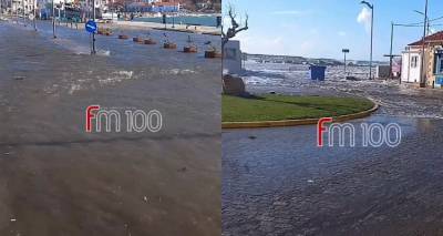 &Mu;ύ&rho;&iota;&nu;&alpha;: &Sigma;&tau;&omicron; έ&lambda;&epsilon;&omicron;&sigmaf; &tau;&omega;&nu; &nu;&omicron;&tau;&iota;ά&delta;&omega;&nu; &tau;&omicron; &lambda;&iota;&mu;ά&nu;&iota; | &Omicron; &delta;&rho;ό&mu;&omicron;&sigmaf; έ&gamma;&iota;&nu;&epsilon; &theta;ά&lambda;&alpha;&sigma;&sigma;&alpha;