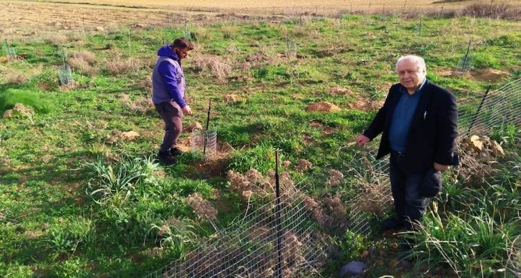 &Alpha;&upsilon;&tau;&omicron;&psi;ί&alpha; &Pi;&alpha;&rho;&alpha;&sigma;&kappa;&epsilon;&upsilon;&alpha;ΐ&delta;&eta; &sigma;&tau;&alpha; &kappa;&alpha;&tau;&epsilon;&sigma;&tau;&rho;&alpha;&mu;&mu;έ&nu;&alpha; &chi;&omega;&rho;ά&phi;&iota;&alpha; &tau;&eta;&sigmaf; &Lambda;ή&mu;&nu;&omicron;&upsilon;