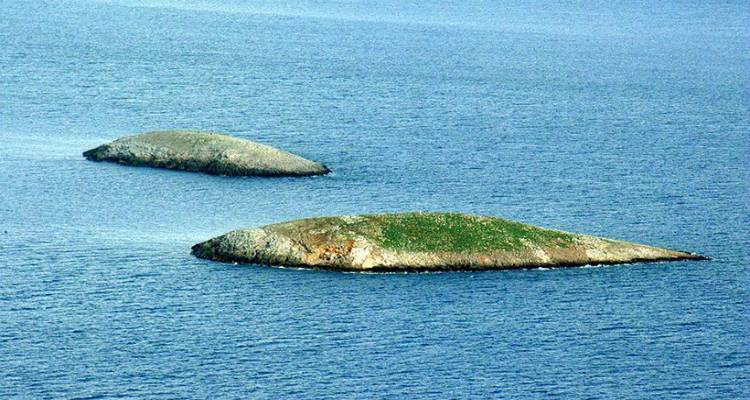 Έ&lambda;&lambda;&eta;&nu;&alpha;&sigmaf; &psi;&alpha;&rho;ά&sigmaf;: &Delta;&epsilon;&nu; &mu;&alpha;&sigmaf; &alpha;&phi;ή&nu;&omicron;&upsilon;&nu; &omicron;&iota; &Tau;&omicron;ύ&rho;&kappa;&omicron;&iota; &nu;&alpha; &pi;&lambda;&eta;&sigma;&iota;ά&zeta;&omicron;&upsilon;&mu;&epsilon; &tau;&alpha; Ί&mu;&iota;&alpha; (video)