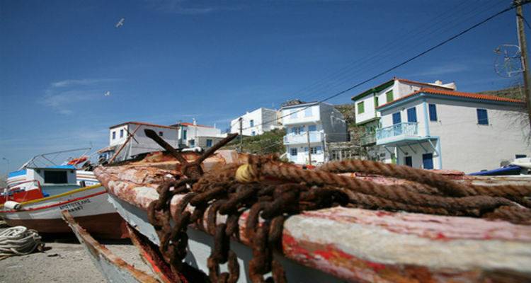 &Omicron;&pi;&lambda;ί&tau;&eta;&sigmaf; &gamma;&iota;&alpha;&tau;&rho;ό&sigmaf; &tau;&eta;&sigmaf; 88 &Sigma;&Delta;&Iota; &sigma;&tau;&omicron;&nu; Ά&gamma;&iota;&omicron; &Epsilon;&upsilon;&sigma;&tau;&rho;ά&tau;&iota;&omicron;