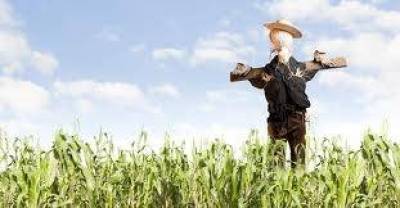 Οι αγρότες υπεράνω όλων