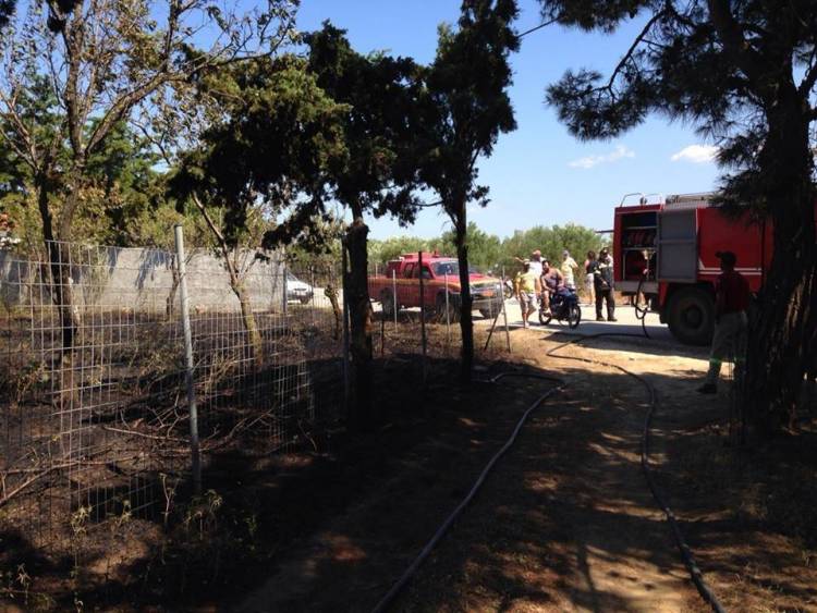 &Phi;&omega;&tau;&iota;ά &xi;έ&sigma;&pi;&alpha;&sigma;&epsilon; &pi;&rho;&iota;&nu; &alpha;&pi;ό &lambda;ί&gamma;&epsilon;&sigmaf; ώ&rho;&epsilon;&sigmaf; &sigma;&tau;&omicron; &Pi;&omicron;&rho;&tau;&iota;&alpha;&nu;&omicron;ύ