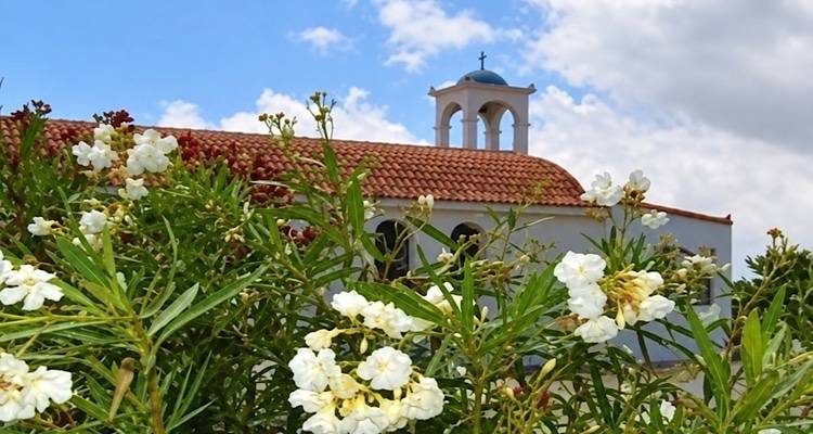 &Alpha;&pi;ό&psi;&epsilon; &eta; &beta;&rho;&alpha;&delta;&iota;&nu;ή &Theta;&epsilon;ί&alpha; &Lambda;&epsilon;&iota;&tau;&omicron;&upsilon;&rho;&gamma;ί&alpha; &gamma;&iota;&alpha; &tau;&omicron;&nu; Ά&gamma;&iota;&omicron; &Sigma;&iota;&lambda;&omicron;&upsilon;&alpha;&nu;ό