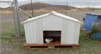 &Lambda;ή&mu;&nu;&omicron;&sigmaf;: &Mu;&epsilon;&tau;&alpha;&phi;έ&rho;&theta;&eta;&kappa;&alpha;&nu; &tau;&epsilon;&lambda;&iota;&kappa;ά &tau;&alpha; &sigma;&pi;&iota;&tau;ά&kappa;&iota;&alpha; &gamma;&iota;&alpha; &tau;&alpha; &alpha;&delta;έ&sigma;&pi;&omicron;&tau;&alpha; | &Mu;&epsilon; &iota;&delta;&iota;&omega;&tau;&iota;&kappa;ή &pi;&rho;&omega;&tau;&omicron;&beta;&omicron;&upsilon;&lambda;ί&alpha; &eta; &lambda;ύ&sigma;&eta;, &mu;&epsilon;&tau;ά &tau;&eta; &delta;&eta;&mu;ό&sigma;&iota;&alpha; &alpha;&nu;&tau;&iota;&pi;&alpha;&rho;ά&theta;&epsilon;&sigma;&eta;