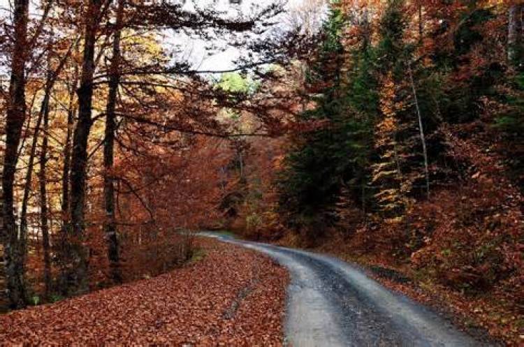 &sigma;&upsilon;&nu;ά&rho;&tau;&eta;&sigma;&eta; &mu;&iota;&alpha;&sigmaf; &nu;&epsilon;&kappa;&rho;ώ&sigma;&iota;&mu;&eta;&sigmaf; &alpha;&kappa;&omicron;&lambda;&omicron;&upsilon;&theta;ί&alpha;&sigmaf;